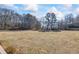 Large grassy backyard with mature trees, perfect for outdoor activities and relaxation at 1650 Old Loganville Rd, Loganville, GA 30052