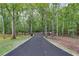 A driveway surrounded by greenery and tall trees at 212 Teepee Trl, Whitesburg, GA 30185