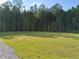Expansive backyard with a grassy lawn and wooded area at 2647 Old Snapping Shoals Rd, Mcdonough, GA 30252