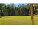Grassy backyard with tree line, enhancing privacy and providing a serene view from the porch at 2647 Old Snapping Shoals Rd, Mcdonough, GA 30252