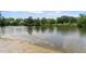 Scenic view of a peaceful lake, perfect for relaxation and water activities on a sunny day at 433 Pine Dr, Pine Lake, GA 30072