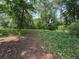 Grassy, treed backyard at 3700 Moore Rd, Austell, GA 30106
