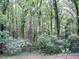 Lush, wooded backyard, offering privacy and a natural setting at 219 Park Avenue, Woodstock, GA 30188