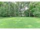 Large green backyard featuring mature trees and well-manicured lawn at 1744 Chateau Dr, Dunwoody, GA 30338