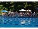 Community pool with swim team members along the edge and umbrellas for shade at 1744 Chateau Dr, Dunwoody, GA 30338