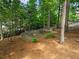 Relaxing backyard patio with a fire pit and seating area, surrounded by mature trees at 9745 Autry Falls Dr, Alpharetta, GA 30022