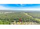 Expansive aerial view of neighborhood homes surrounded by verdant green spaces and a lush tree line at 3 Windsor Ct, Kingston, GA 30145