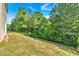 A green and well-maintained backyard with mature trees at 3 Windsor Ct, Kingston, GA 30145