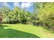 A spacious backyard featuring a lush green lawn and mature trees along the perimeter at 409 Ivy Terrace Dr, Dallas, GA 30157