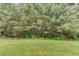 The spacious backyard has mature trees providing privacy to the property at 2005 Ashton Pointe Dr, Dacula, GA 30019