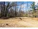 Expansive backyard with mature trees and a charming fountain, perfect for outdoor relaxation and entertainment at 3000 Cathedral Place Pl, Decatur, GA 30034