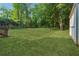 Large backyard with lush green grass and bordered by mature trees and a shed at 3919 Valley Brook Rd, Snellville, GA 30039