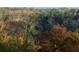 View of the surrounding neighborhood and foliage at 3330 Overland Dr, Roswell, GA 30075