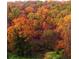 A landscape view of colorful foliage showing a mix of greens, yellows, oranges and reds at 3330 Overland Dr, Roswell, GA 30075