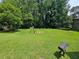 Large backyard with a garden at 2480 Sewell Mill Rd, Marietta, GA 30062