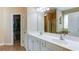 Bathroom featuring double sink vanity with a walk-in shower, and walk-in closet at 4084 Fort Sumter Nw Lndg, Acworth, GA 30101
