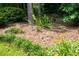 Landscaped backyard with mulch beds, mature trees and flowering plants at 272 Creek Sw Ct, Marietta, GA 30064
