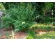 Lush backyard garden featuring mature trees and a variety of shrubs and plants at 272 Creek Sw Ct, Marietta, GA 30064