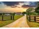 Estate featuring a long driveway, lush lawn, mature trees, and a fenced-in area at sunset at 3508 Cox Cemetery Rd, Social Circle, GA 30025