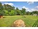 Picturesque pasture view with expansive green space, mature trees, and a distant residential home at 3508 Cox Cemetery Rd, Social Circle, GA 30025