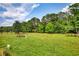 Expansive pasture with mature trees, offering ample grazing land and natural beauty at 3508 Cox Cemetery Rd, Social Circle, GA 30025