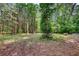 Secluded wooded lot with lush greenery and towering trees, creating a serene natural setting at 3508 Cox Cemetery Rd, Social Circle, GA 30025