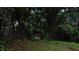Wooded backyard with a small shed in the distance at 2786 Knollview Dr, Decatur, GA 30034