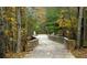 A scenic wooden bridge on a trail winds through a colorful forest at 3901 Old Atlanta Station Se Dr, Atlanta, GA 30339