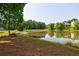 Picturesque view of a calm pond surrounded by lush greenery and mature trees in a neighborhood setting at 652 Pathview Ct, Dacula, GA 30019