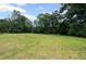 Spacious backyard featuring lush green grass and mature trees, perfect for outdoor activities at 125 Ancient Oak Ln, Stockbridge, GA 30281
