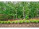 Landscaped backyard space featuring decorative bushes and a wooden perimeter fence at 131 Forsyth Park Ln, Woodstock, GA 30188