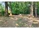 Expansive backyard with mature trees, a fire pit, and a wooden fence creating a serene outdoor space at 103 Willow Wood Se Cir, Atlanta, GA 30317