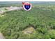 Aerial view of wooded property near Interstate 75 in a tranquil, natural setting at 133 Harold Dr, Mcdonough, GA 30253