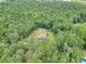 Aerial view of the home set back among mature trees on a large, private lot at 133 Harold Dr, Mcdonough, GA 30253