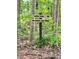 Directional wooden sign on a tree for the Upper Trail and Silver Lake Trail at 1178 Chambord Ne Way, Brookhaven, GA 30319