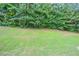An expanse of green backyard lawn bordered by lush, mature trees offering privacy and a natural backdrop at 2482 Brittany Park Ln, Ellenwood, GA 30294