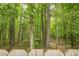 View of wooded area through back fence at 2870 Jay Oak Dr, Dacula, GA 30019