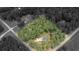 Expansive aerial view of a secluded home nestled among lush trees with a curved driveway entrance at 10 Stagg Trce, Social Circle, GA 30025