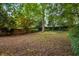 A spacious backyard features a tree-lined fence with dense shrubbery and ground cover at 1038 Saint Charles Ave, Atlanta, GA 30306