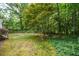 Backyard featuring a lush lawn and foliage, offering privacy and natural beauty at 4766 Jamerson Forest Cir, Marietta, GA 30066
