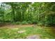 Beautiful backyard space with grass, stepping stones, and wooded scenery at 4766 Jamerson Forest Cir, Marietta, GA 30066