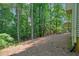 Expansive wooded backyard offering privacy and a serene natural setting at 921 Laurel Crest Dr, Woodstock, GA 30189