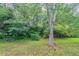 Lush backyard featuring healthy lawn and mature trees providing shade and privacy at 5421 Salem Springs Dr, Lithonia, GA 30038