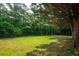 A great area of yard space behind a large tree at 1851 Harvest Way, Loganville, GA 30052