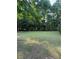 A large grass backyard with trees in the background at 2474 Starfire Ln, Loganville, GA 30052