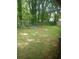 The spacious backyard with a playset and lush greenery, is perfect for Gathering fun at 204 Melanie Ln, Woodstock, GA 30188