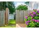 Charming fenced backyard featuring lush hydrangea bushes and a storage shed at 350 Birch Rill Dr, Alpharetta, GA 30022