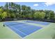 Well-maintained community tennis courts with professional surfaces and lighting at 8920 Ellesmere Dr, Cumming, GA 30041