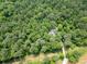 Aerial view of a secluded house nestled amidst a forest of vibrant trees offering an unmatched sense of privacy at 13935 Brown Bridge Rd, Covington, GA 30016