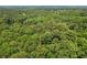 Extensive forest area, showcasing potential for privacy and nature, seen from above at 4025 Demooney Rd, Atlanta, GA 30349